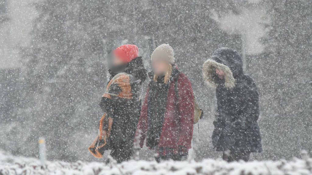 VREMENSKA PROGNOZA DO KRAJA GODINE Meteorolog najavljuje snežni