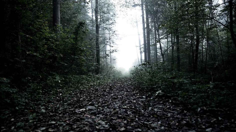 MUŠKARAC SILOVAN U PARKU: Užas se desio tokom noći, objavljena fotografija napadača (FOTO)