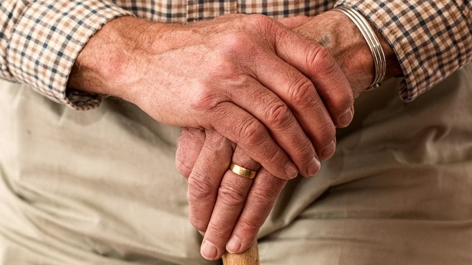 BESPLATNO ZA PENZIONERE: U akciji palilulske opštine u okviru projekta 'Treće doba, zlatno doba'