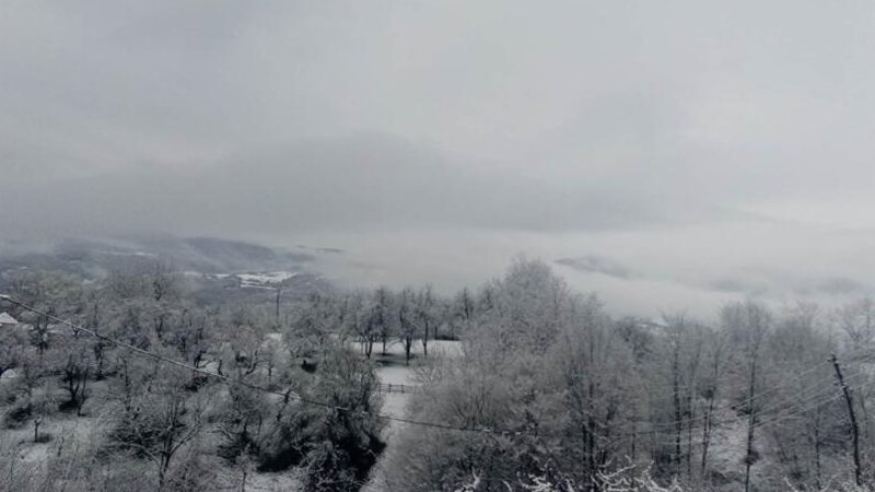 ŠOK SCENA KOD NOVOG PAZARA! Neverovatan prizor usred noći na planinskom putu  - vozač ostao bez teksta