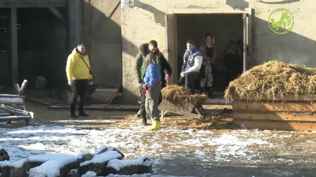 Nasrtaj na Jakšićevu i Lakića! Dušica nema kontrolu, napravila opšti haos, ne dozvoljava da joj se iko meša u posao (VIDEO)