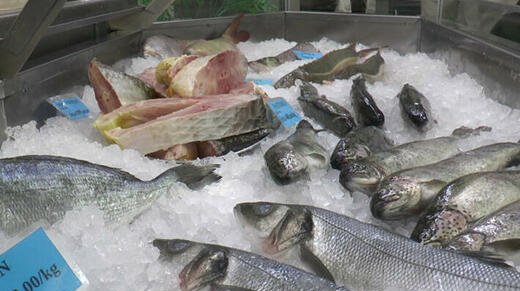 KAKO DA PREPOZNATE SVEŽU RIBU: Evo koje boje bi trebalo da budu škrge ...