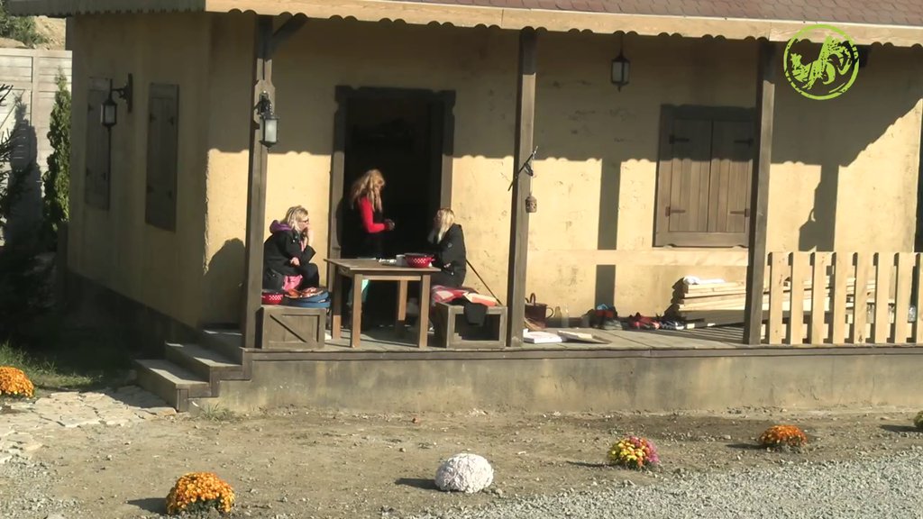 Ne mogu oni da budu dobri koliko ja mogu da budem loša: Sneža, Jelena i Lili spremne nego ikada da opletu po farmerima (VIDEO)