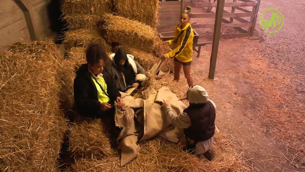 Neće da pomognu jačem polu: Boban zamolio farmerke da pomognu pri seoskim radovima, one se uvredile (VIDEO)