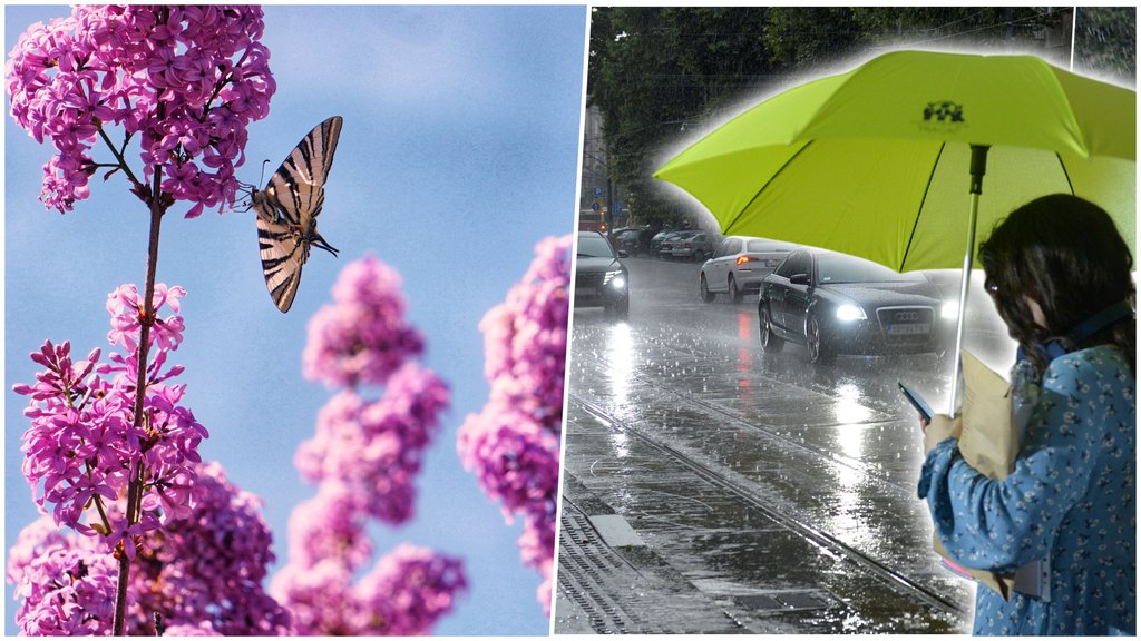 Vremenski Rolerkoster Za Praznike - Meteorolog Đurić Otkrio Kakvo Nas ...