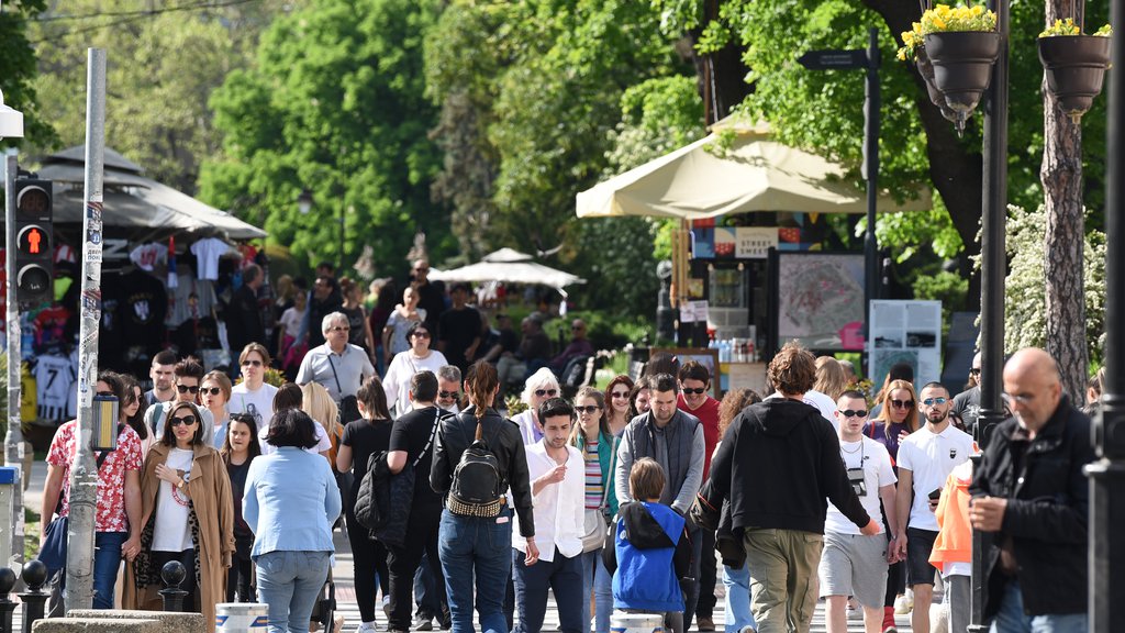 Uživajte u prolećnim temperaturama! Sunčano i najviše do 20 stepeni