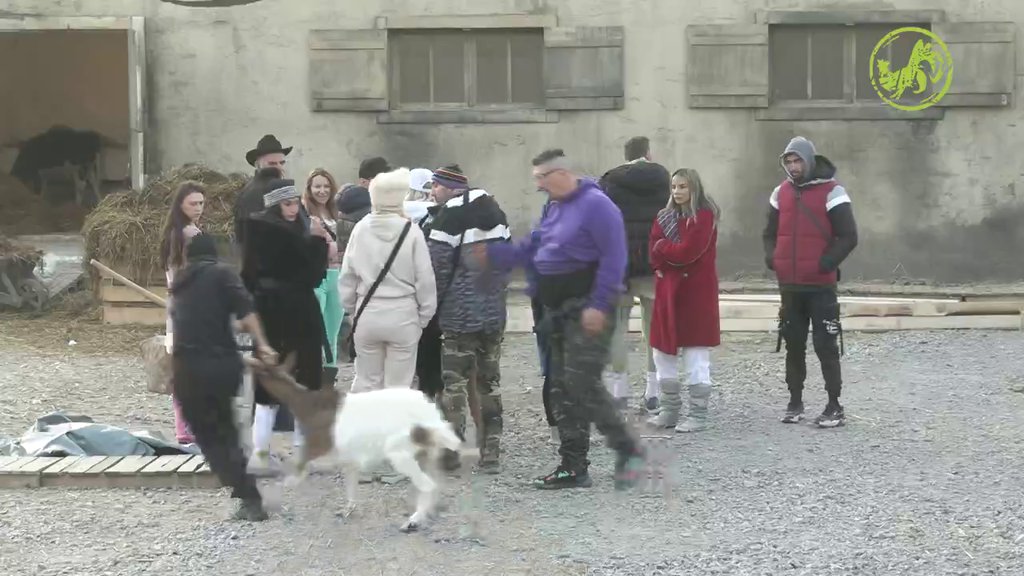 Sneža odrukala ukućane, otkrila Proki da pojedini ne cepaju drva, već uzimaju daske i lože peć: To ne sme da se radi! (VIDEO)