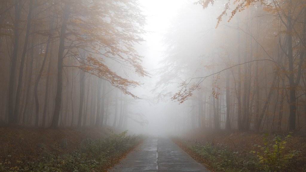 AMSS UPOZORAVA: Teži uslovi vožnje zbog promene vremena