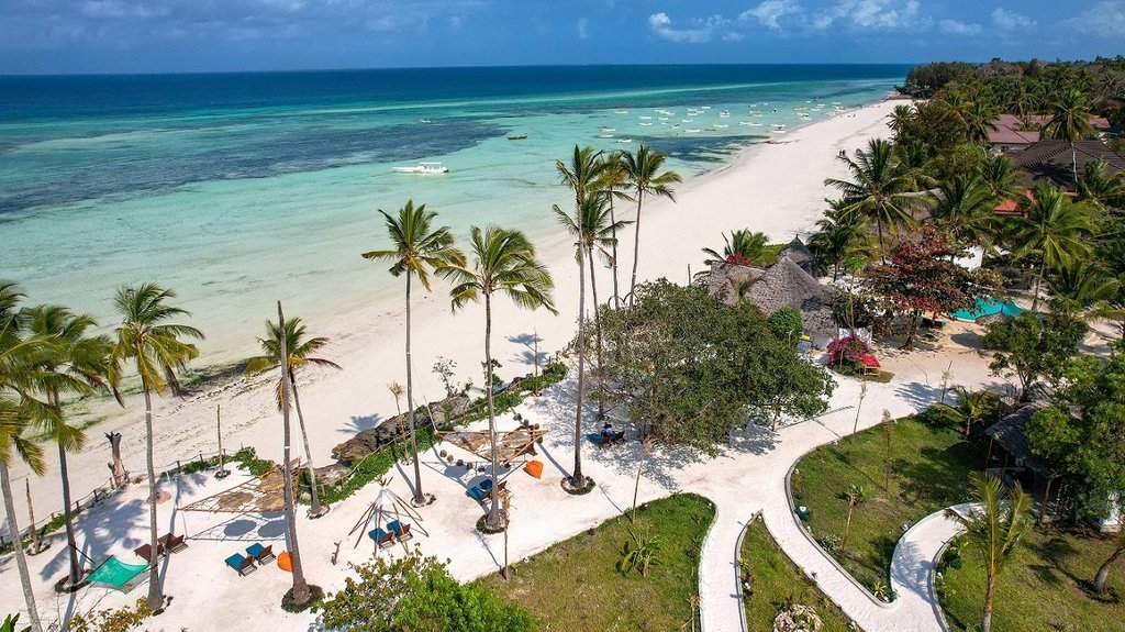 A tropical Zanzibar beach resort with palm trees