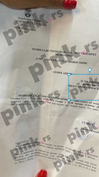 OKONČANO SUĐENJE! Janjuševa bivša žena prošlog leta tužila Aneli Ahmić, a sada je sud doneo odluku