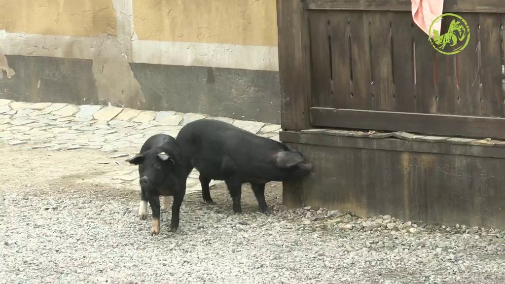 Snežu zanimalo kako bi Andrea ocenila njen stajling, ona servirala odgovor momentalno: Kao da su te izvadili iz kante (VIDEO)