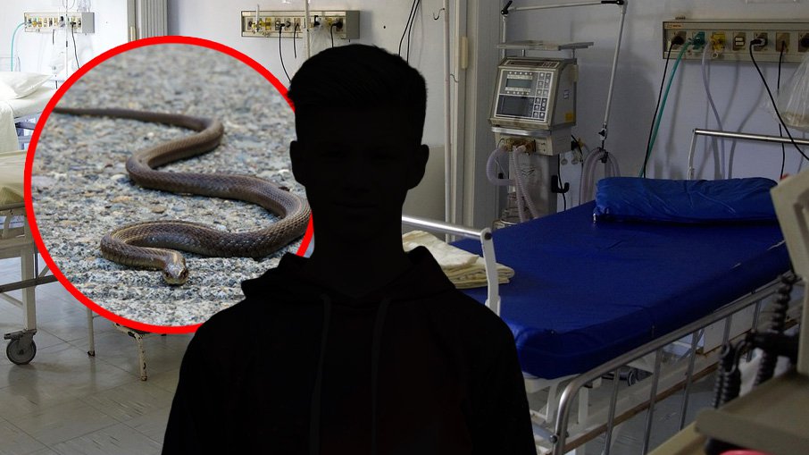 DETALJI JEZIVE NESREĆE U HURGADI: Zmija tokom programa u hotelu ugrizla gosta, nije mu bilo spasa