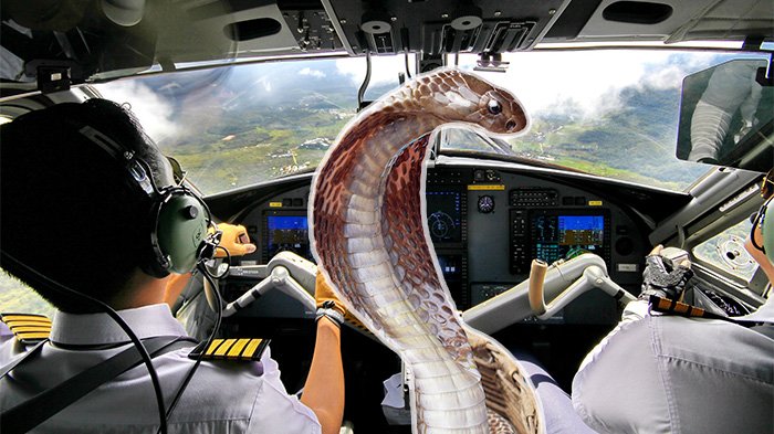 'SAMO SAM OSETIO SAM DA MI NEŠTO KLIZI PO LEĐIMA' Pilot prisilno ...