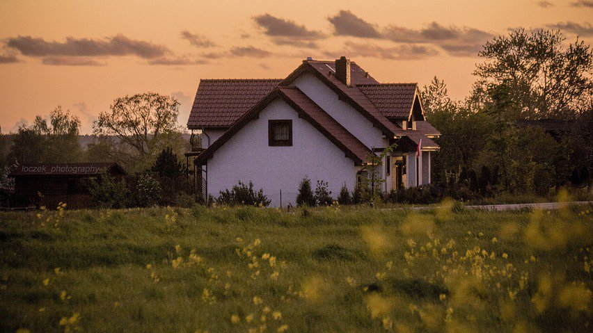 Drvo novca je 'magnet' za sreću: Evo zbog čega svaka kuća treba da ga ima