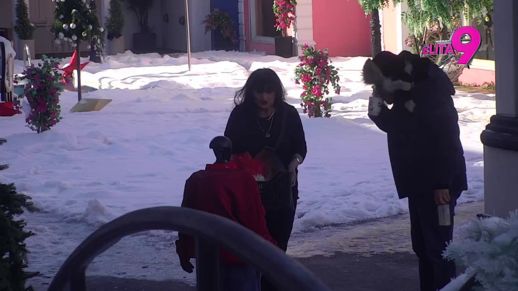 OPKOLILI GA! Toša danas ima poseban razlog za ulazak u Elitu, svi se odmah UZNEMIRILI i rastrčali po imanju! (VIDEO)