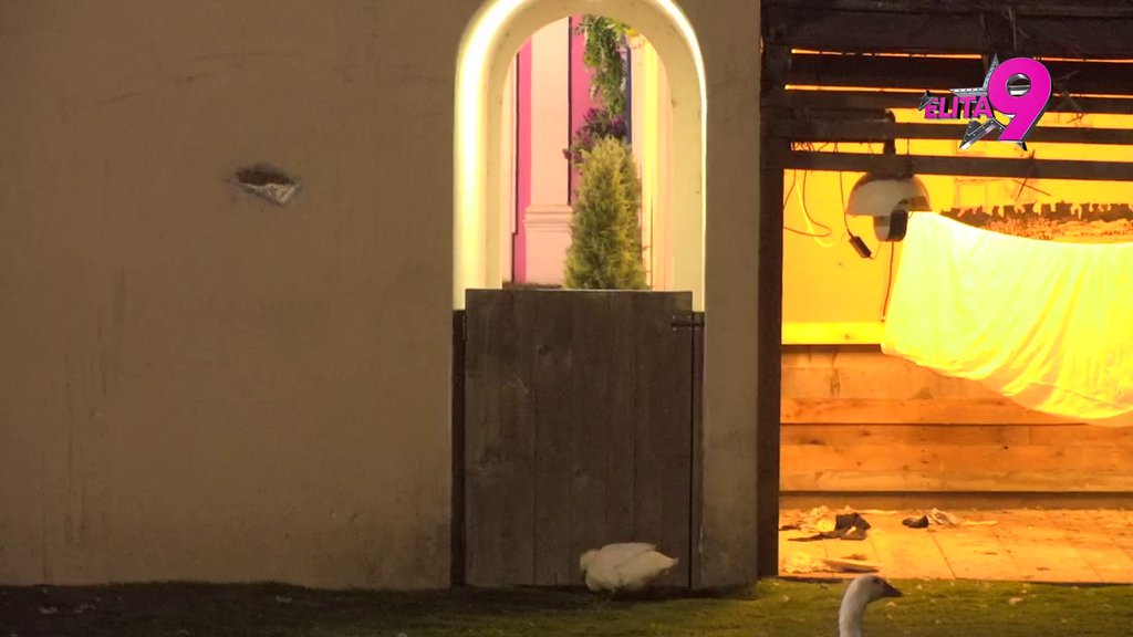 VOLIM TE NEOPISIVO! Luka izjavio ljubav Aneli, pomirenje ponovo IZVESNO! (VIDEO)