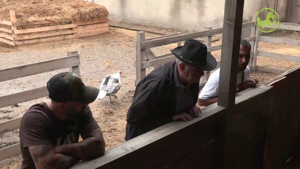 MISLITE DA SAM JA GLUP? Proka zaurlao na Lakića zbog stanja u štali, evo kako su farmeri pokušali da ga PREVARE (VIDEO)
