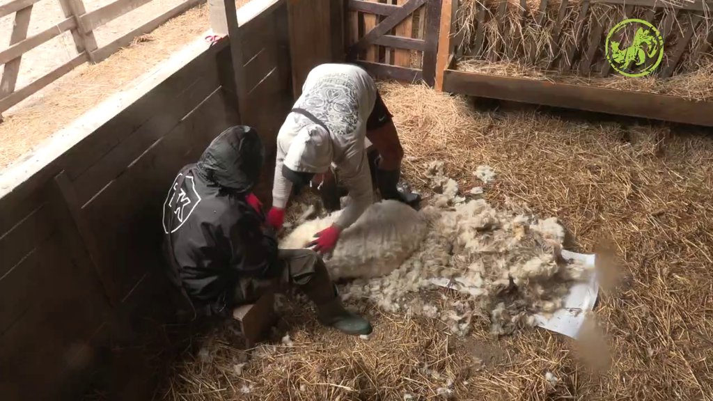 Proka će biti ponosan na njih: Peca i Lakić ispoštovali NAJTEŽI nedeljni zadatak (VIDEO)