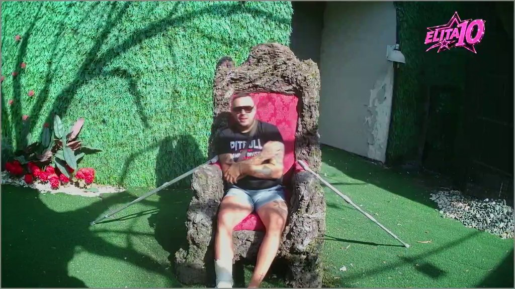 STIŽE POMOĆ! Drvo obezbedilo invalidska kolica za Cara, evo koga je izabrao da mu budu pomoćnici (VIDEO)