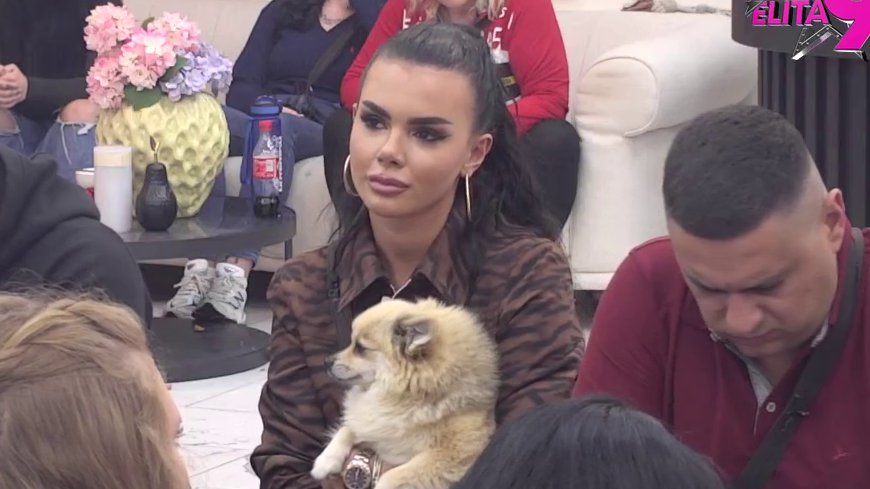 OVO NIKO NIJE OČEKIVAO: Evo ko će se boriti za opstanak u Eliti 9 (VIDEO)