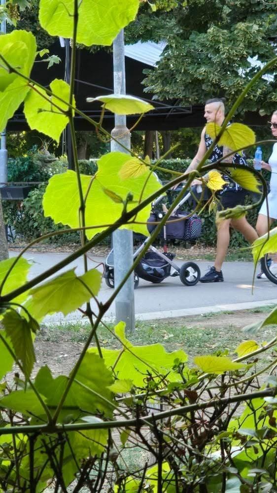 SVI NA OKUPU! Terza i Milica uhvećeni u šetnji sa ćerkicom Barbarom! Brižan tata se ne odvaja od svoje naslednice, dok mama ne skida osmeh sa lica! (FOTO)