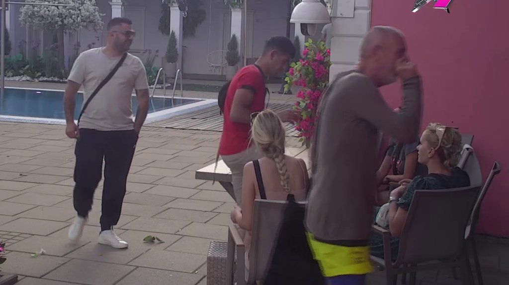 Ja bih uzeo sve pare i išutirao vas kao kante: Lepi Mića reži na sav glas zbog Asmina, on se posprdao s njim! (VIDEO)