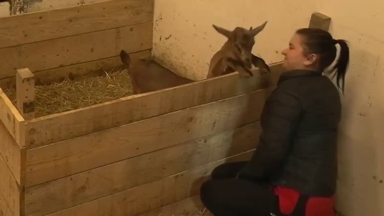 Nakon što se Peca uzaludno trudio da ukrade Aleksandrino srce, oni su to uspeli bez truda: Bože koliko vas volim! (VIDEO)