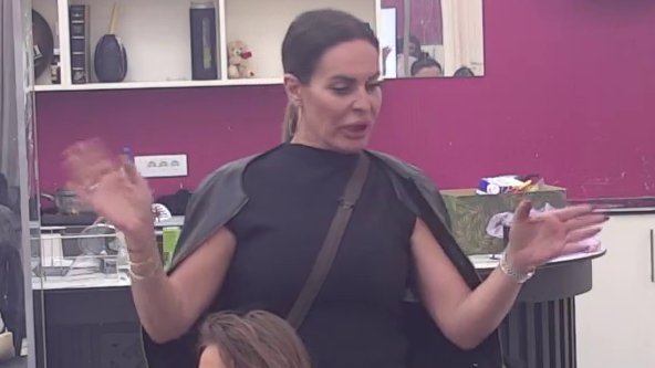 Što je došao na večeru sa mojim detetom, kad smo kr*s kombinacija?! Kačavenda progovorila o detaljima afere sa Janjušem, pa raskrinkala Vanju: Tražila mi je da je pošaljem sa Anđelom u izolaciju (VIDEO)