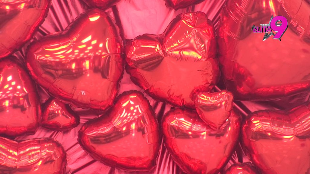 Vreme je da čujemo VAŠE MIŠLJENJE! Glasajte KOJI PAR JE NAJBOLJE ODRADIO ZADATAK 'LISICE'