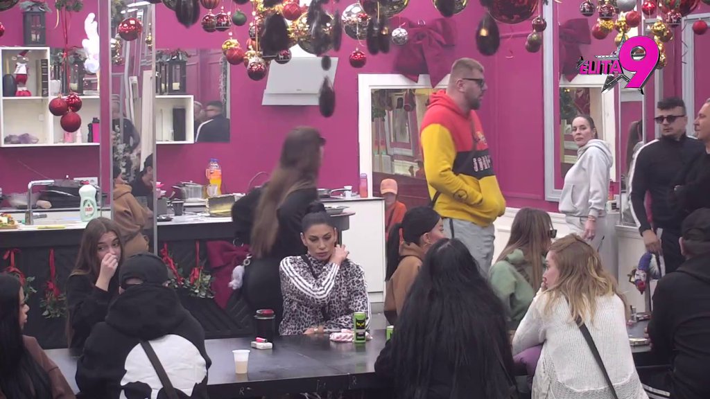 Bolje u ludnicu, nego da se obesim: Monstruoznosti Miljane Kulić prema Janjušu ne staju, učesnici zgroženi (VIDEO)