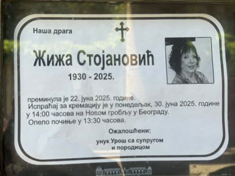 Uroš je bio za to da je smesti u dom, ONA TO NIJE ŽELELA: Milica Dugalić za Pink.rs iznela ŠOKANTNE detalje iz Žižinog života, nikog nije štedela: Srce mi je zastalo kad sam videla desetak ljudi, NEKA SE STIDE! (VIDEO)