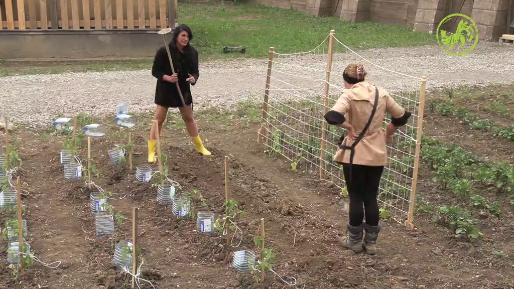 ČIJA JE BAŠTA? Sneža Kušadasi i Jakšićka se umalo pobile zbog zadatka! (VIDEO)