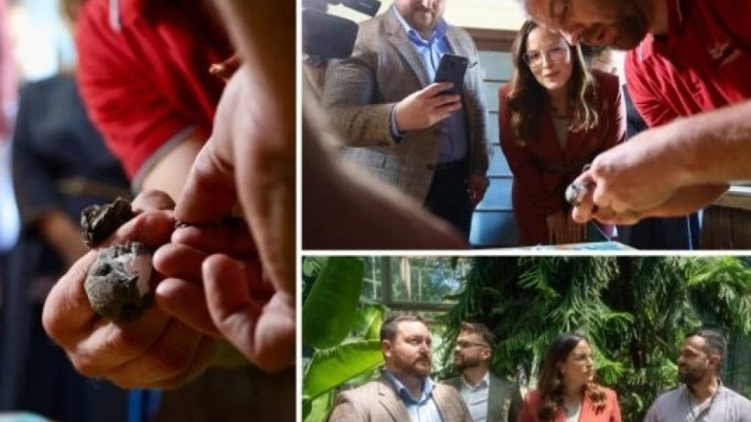 DOBAR STATUS ZAŠTIĆENIH VRSTA JE ODGOVORNOST I DUŽNOST: Ministarka Pavkov obišla bele čiope koje su prstenovane i Botaničku baštu