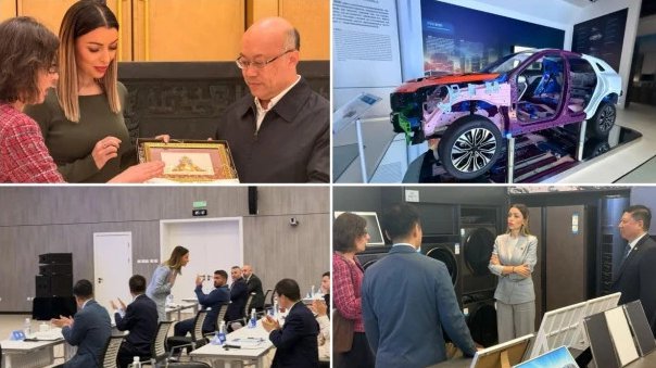 KINEZI ODUŠEVLJENI SRBIJOM, OTVARA SE TRŽIŠTE OD 73 MILIONA LJUDI Ministarka Mesarović otkrila sve detalje: Stižu konkretni rezultati