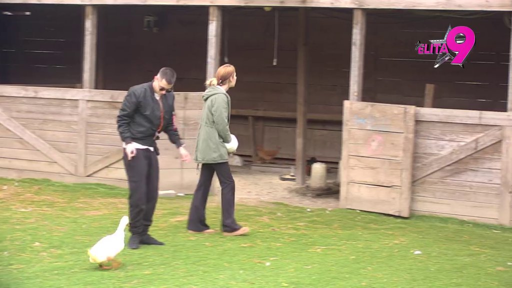 SEOSKA IDILA VERENIKA! Nerio poveo Hanu u obilazak Elite, ona se uplašila ove životinje! (VIDEO)