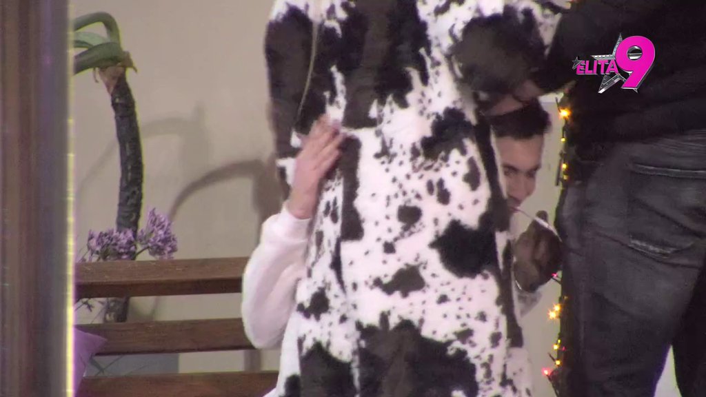 Totalni hit: Nerio se olešio od alkohola, tetka Aneli i Janjuš pokušavaju da ga ožive! (VIDEO)