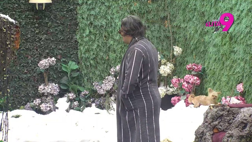 OTVORIO DUŠU! Bora Santana ne krije da mu je srce slomljeno na pragu pete decenije, progovorio o propalom odnosu sa Anastasijom! (VIDEO)