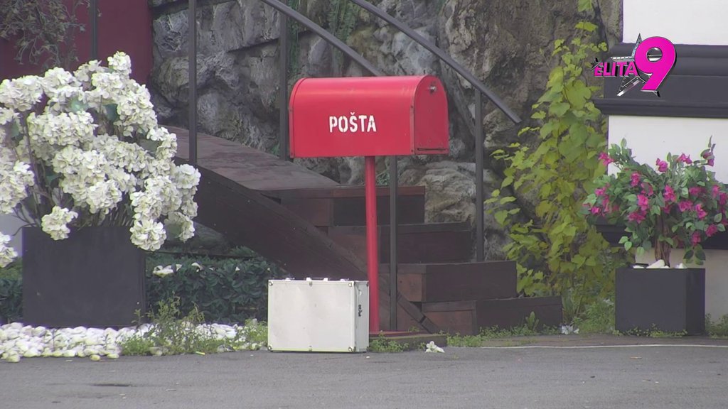 SVI ODMAH NA PINK! Luka Vujović počinje PODELU BUDŽETA, naoštrio se da razdrma crni sto! (VIDEO)