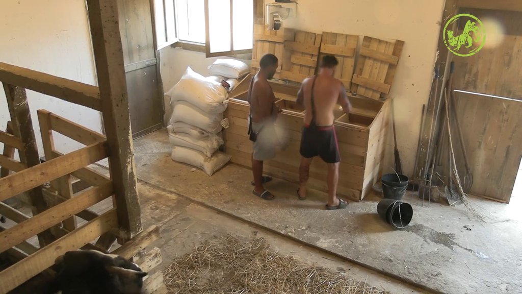 NE MENJAJU STARE NAVIKE: Peca i Lakić svaki dan u ISTO VREME urade OVO (VIDEO)