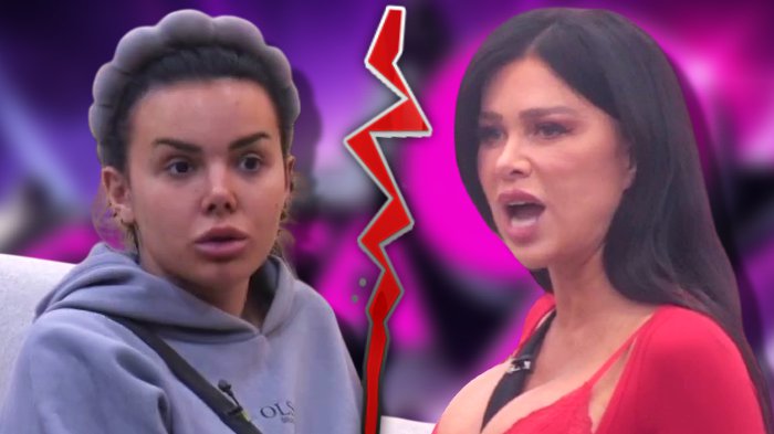 Sme samo da priča sa Dušicom! Asmin progovorio o odnosu sa Majom, opleo po Staniji, pa se osvrnuo na Terzu: Poštuje porodicu, ali dokle god joj pere stvari... (VIDEO)