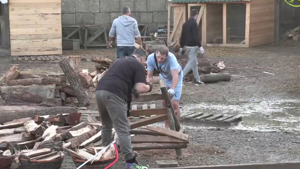 Daju sve od sebe da završe posao do kraja: Boža i Kristijan odlučni u nameri da danas iseku što više drva, evo ko im pomaže! (VIDEO)