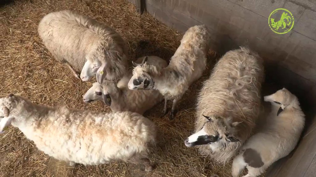 DO SUTRA SVE MORA DA BUDE GOTOVO: Proka farmerima dao NOVI ZADATAK, evo o čemu je reč (VIDEO)
