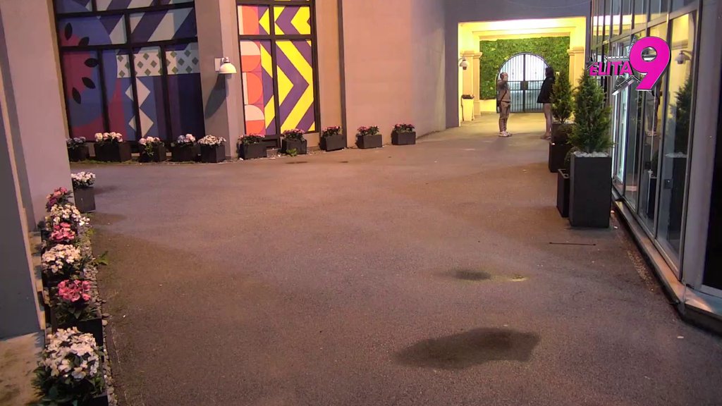 Pretrnuo od straha: Mina saterala Daču u ćošak, on ne sme da joj prizna šta je o Alibabi i njoj govorio u Šiša baru! (VIDEO)