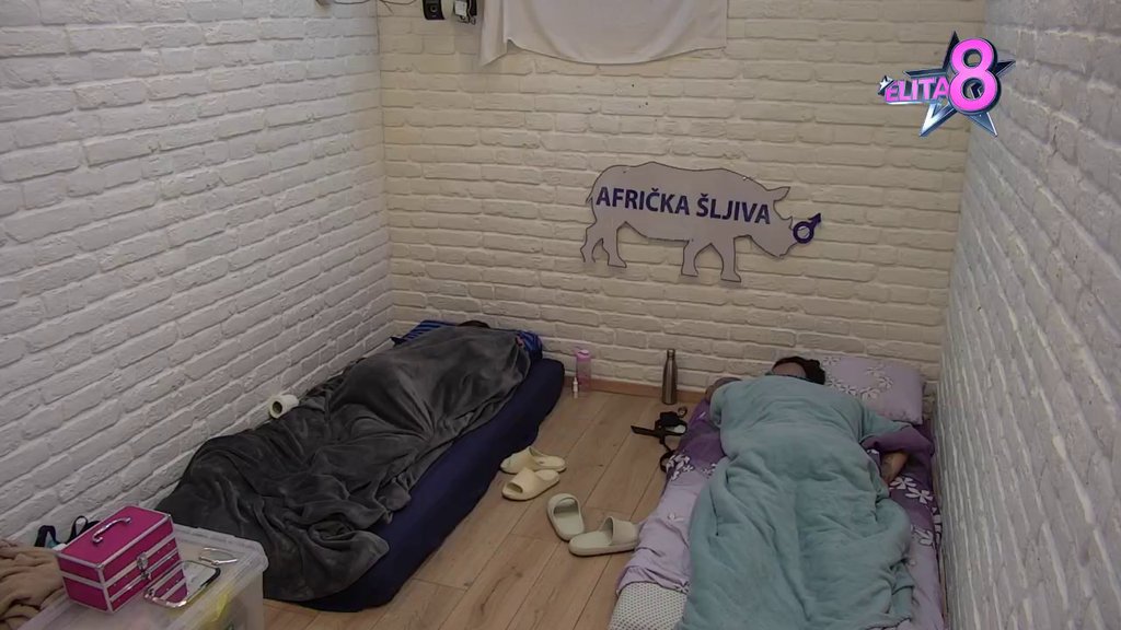 Predosećaju da će se desiti haos: Evo o čemu prićčaju Ena i Terza u izolaciji (VIDEO)