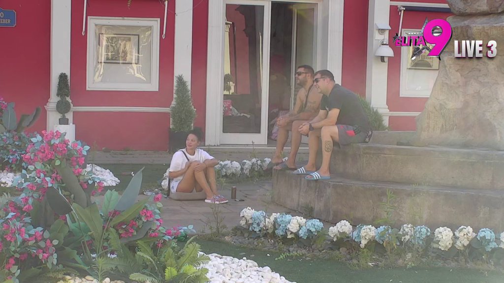 Bićeš poznat u Lincu, samo ako povedeš Maju: Dača razvezao jezik, urniše Alibabu svim silama! (VIDEO)