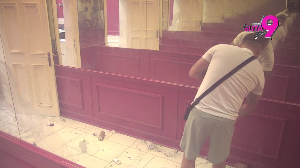 Radna akcija: Alibaba zasukao rukave i bacio se na ozbiljan posao, od svih žena u kući metla je u njegovim rukama! (VIDEO)