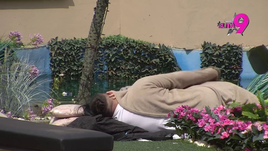 Nemoj tako da ga stiskaš noktima! Asmin zakukao kad ga je Maja uhvatila za 'PONOS', ona se smejala na sav glas! (VIDEO)