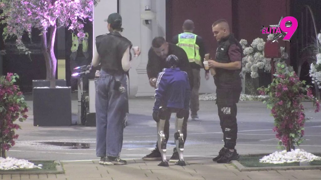 Nemoj ti da mi pričaš kako da muvam ribe: Alibabi pala roletna, pa zaurlao na Tošu! (VIDEO)