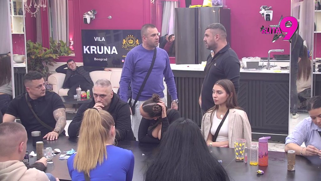 PONOVO NA DNU: Terza obrisao patos Sofijom, dokazao da je pikirala Milana zbog priče! Milan uleteo u crveno, pa progovorio: Sama je zakazala abortus... (VIDEO)