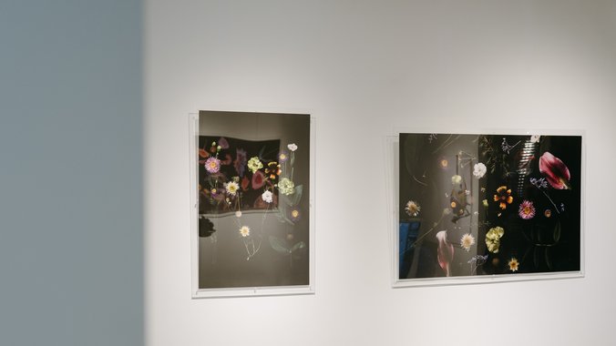 galerija